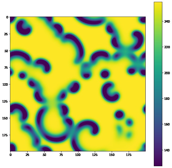 Mathematical Modeling of Animal Patterns – screenshot 5