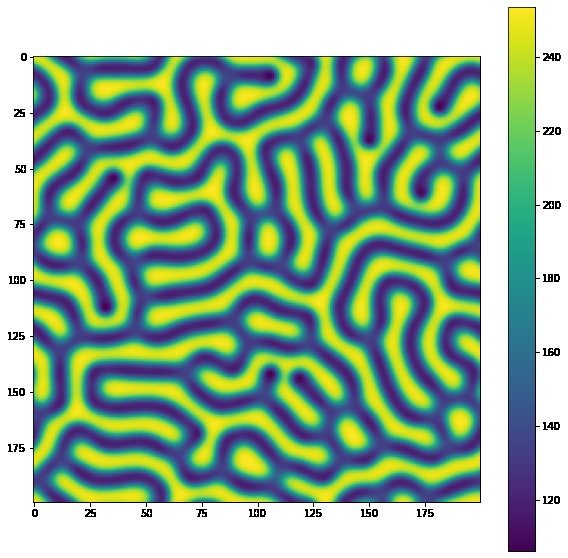 Mathematical Modeling of Animal Patterns – screenshot 7