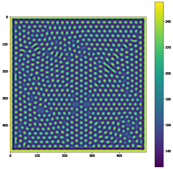 Mathematical Modeling of Animal Patterns – screenshot 8