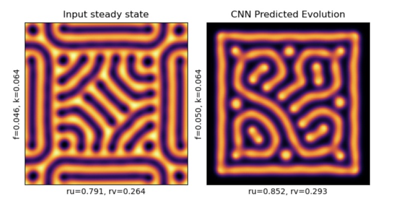 Interactive Reaction-Diffusion Simulations – screenshot 3