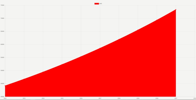 Debt Visualizer – screenshot 2