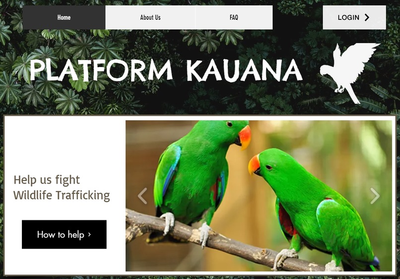 Project Kauana – screenshot 1