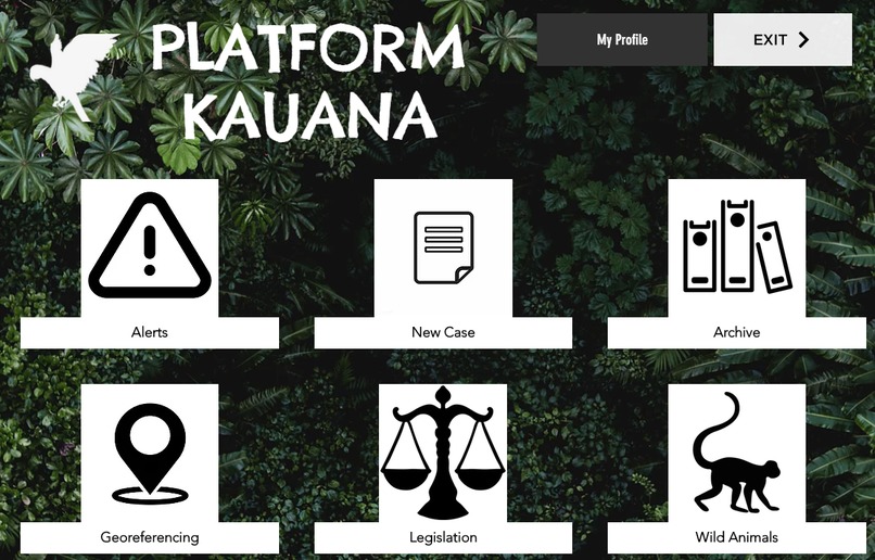 Project Kauana – screenshot 2