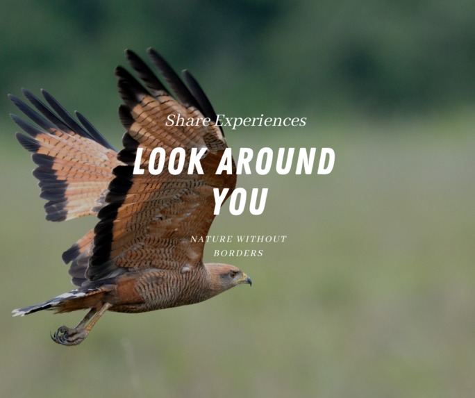 Nature Without Borders - Collaborative Communities – screenshot 2