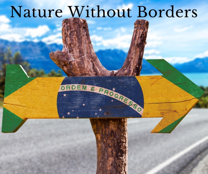 Nature Without Borders - Collaborative Communities – screenshot 3