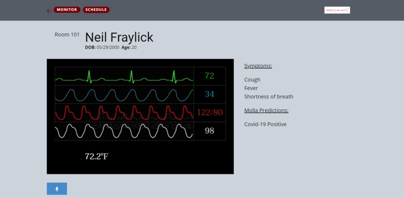 Molla-AI – screenshot 2