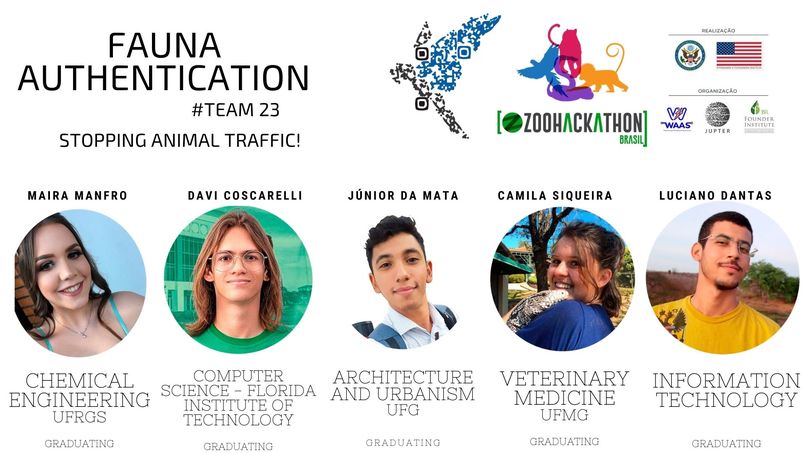 Rapinas da Mata – screenshot 1