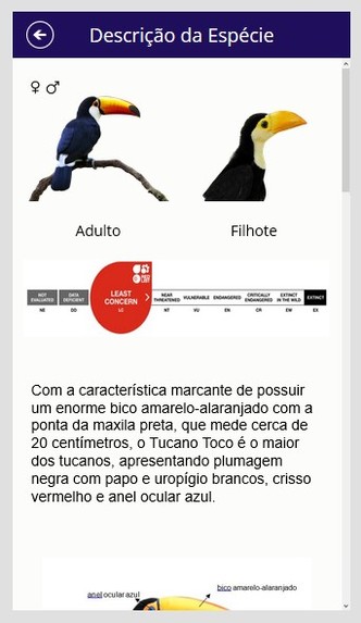 AVNI - Unidentified Flying Animal – screenshot 6