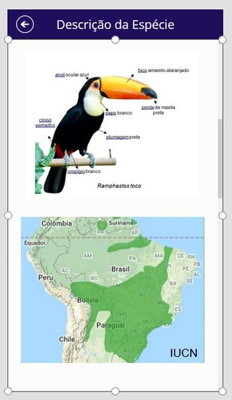 AVNI - Unidentified Flying Animal – screenshot 7