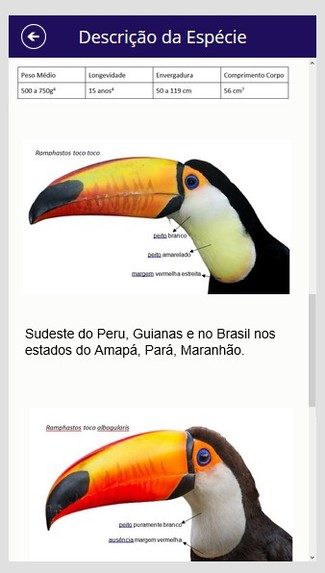 AVNI - Unidentified Flying Animal – screenshot 8