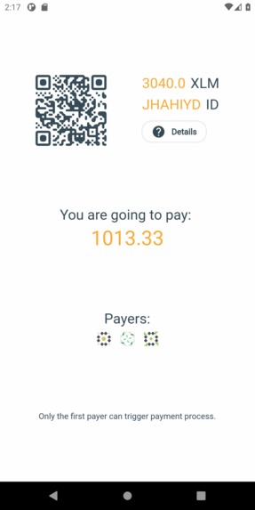 Bill QR pay – screenshot 5