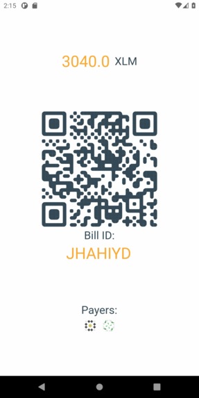 Bill QR pay – screenshot 6