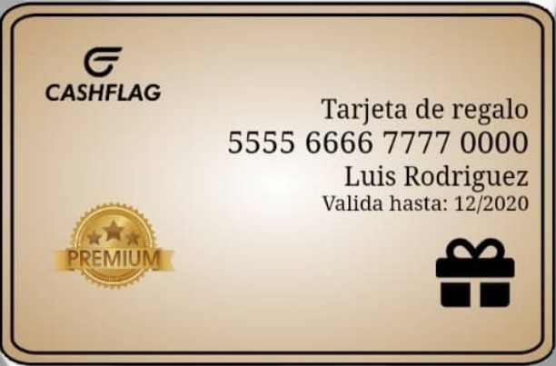 Cash-Flag – screenshot 6