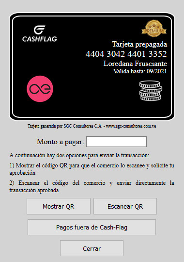 Cash-Flag – screenshot 7