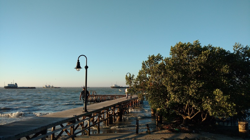 Neuro Art – screenshot 7