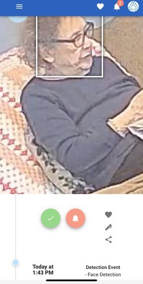 Remote Elderly Home Care via Privacy Preserving Surveillance – screenshot 1