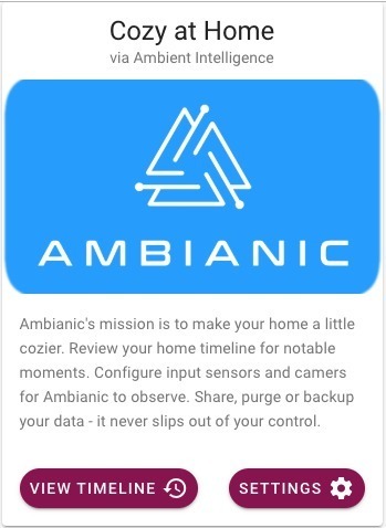 Remote Elderly Home Care via Privacy Preserving Surveillance – screenshot 3