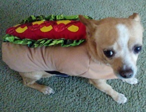 Ceci n'est pas une hot dog – screenshot 3