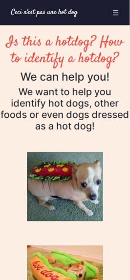 Ceci n'est pas une hot dog – screenshot 2