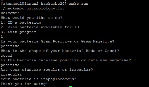 Bacterium ID – screenshot 1