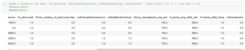 Multi-Layer Perception Fraud Detector Tool – screenshot 8