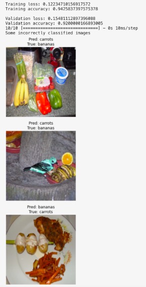 Seefood Classifier 2.0 – screenshot 5