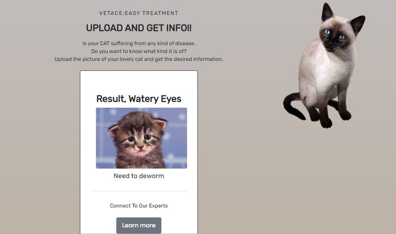 Vet Expert – screenshot 3