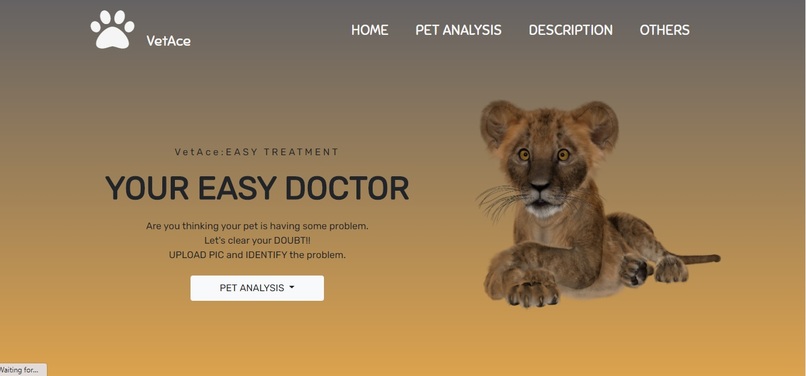 Vet Expert – screenshot 5