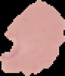 MDS – screenshot 4