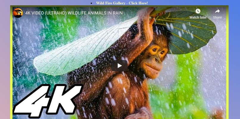 Wildlife Environmental Arena! – screenshot 8