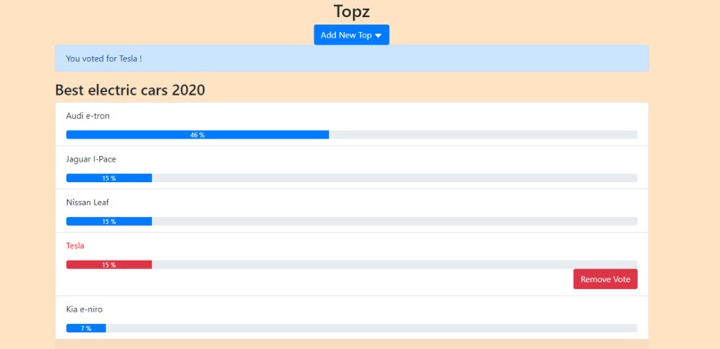 TOPZ – screenshot 2