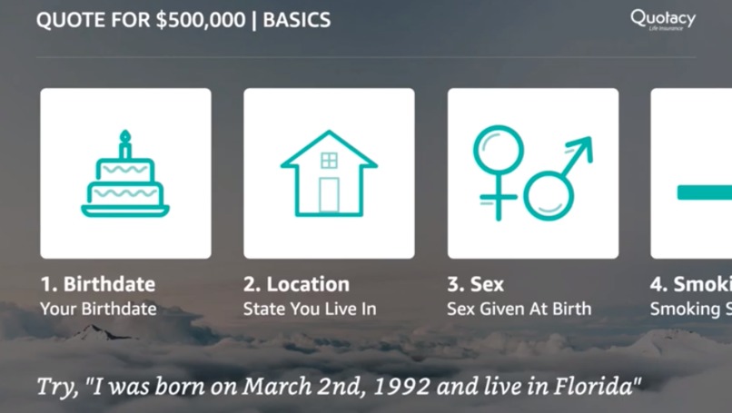Voice First Life Insurance – screenshot 1