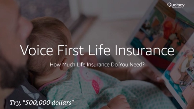 Voice First Life Insurance – screenshot 3