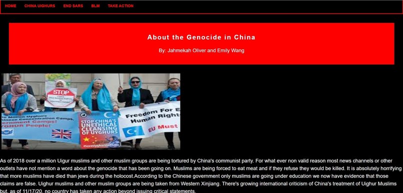Human Rights Awareness – screenshot 2