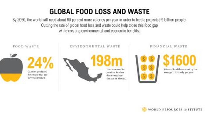 FoodGenia – screenshot 6