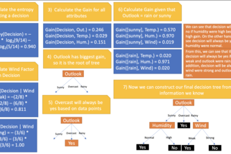 weatherClassification