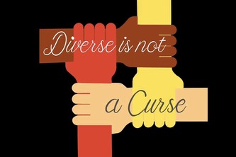 diverse is not a curse