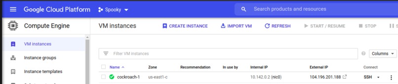 Hungry Turkey – screenshot 4