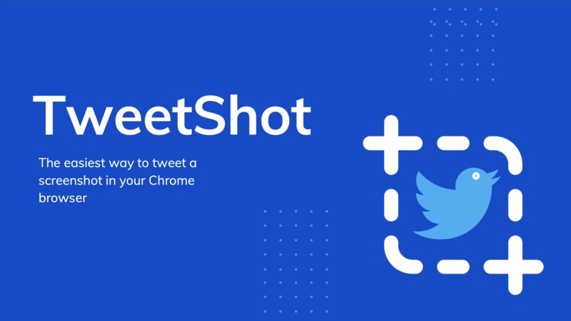 TweetShot – screenshot 1
