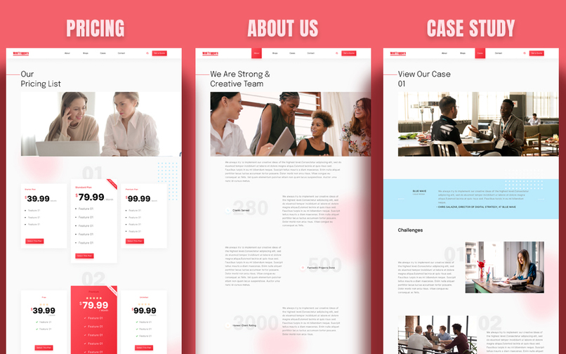 Web Trappers HubSpot Theme – screenshot 4