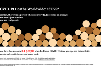 Covid Deaths Visualizer