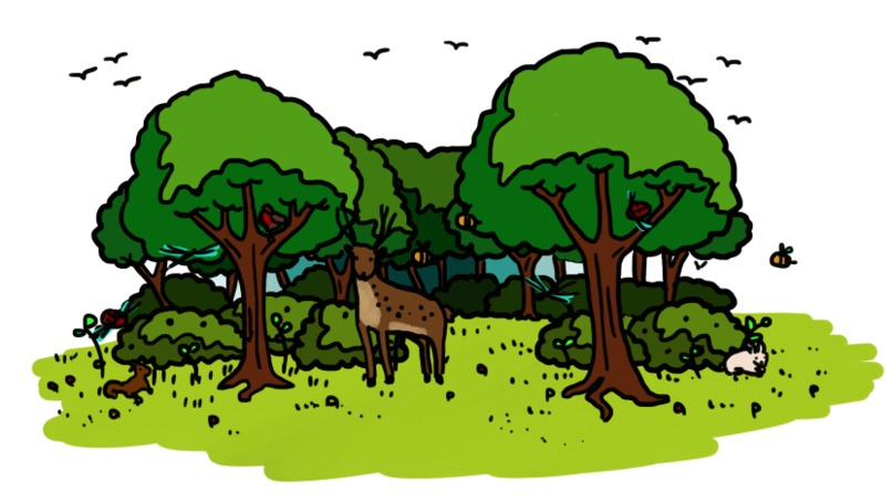 BioTrack – screenshot 1