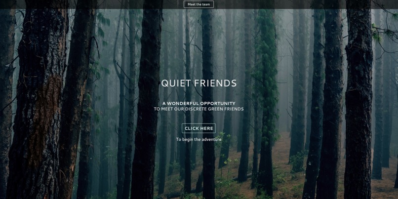 Quiet Friends – screenshot 1