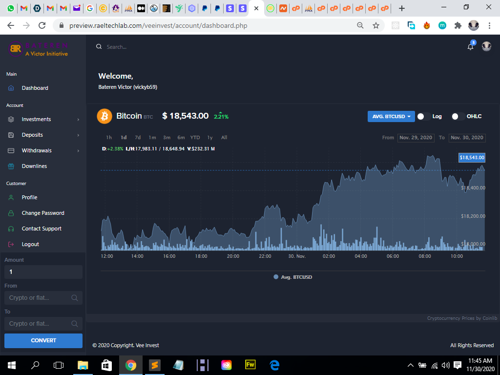 Vee Invest | Devpost