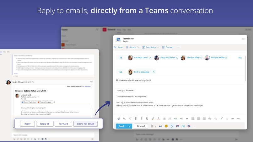 Email TeamMate – screenshot 3
