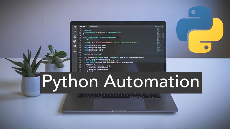 Python Automation (Guide) – screenshot 1