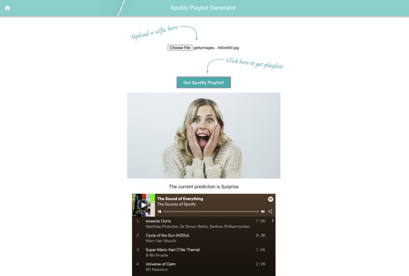 Spotify Playlist Generator – screenshot 2