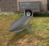 AR sharks! – screenshot 3
