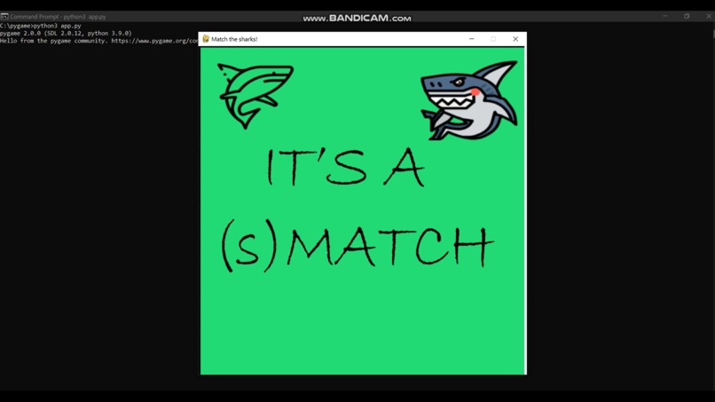 Match the Shark – screenshot 1