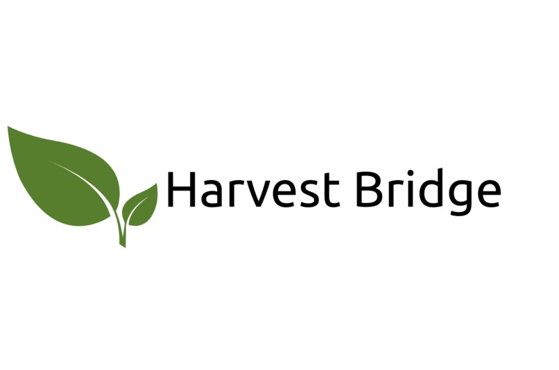 Harvest Bridge – screenshot 2
